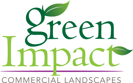 Green Impact Landscape