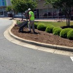 Flower Bed Prep