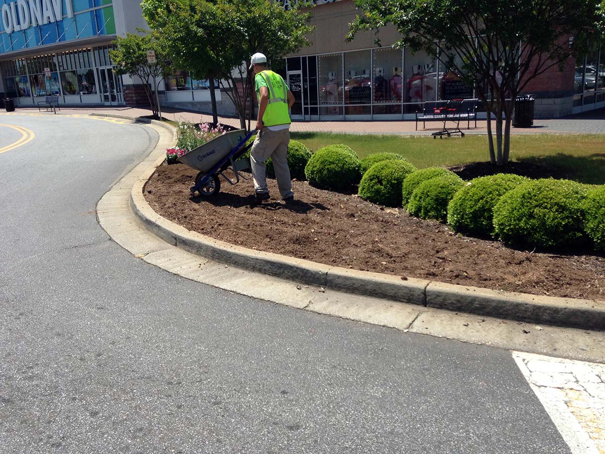 Flower Bed Prep