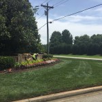 HOA Landscape Maintenance