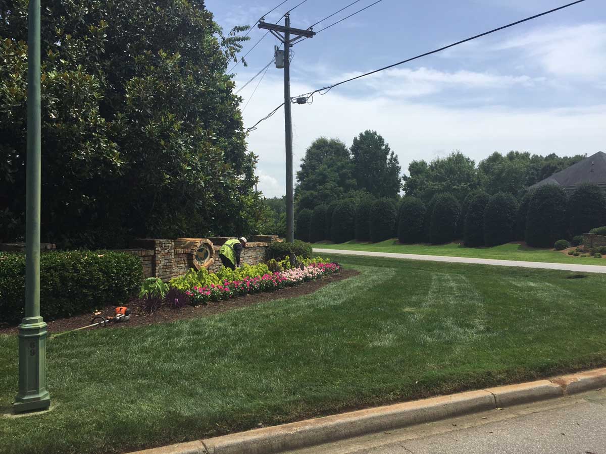 HOA Landscape Maintenance