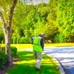 HOA Landscape Maintenance