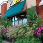 Planter Boxes with Flowers